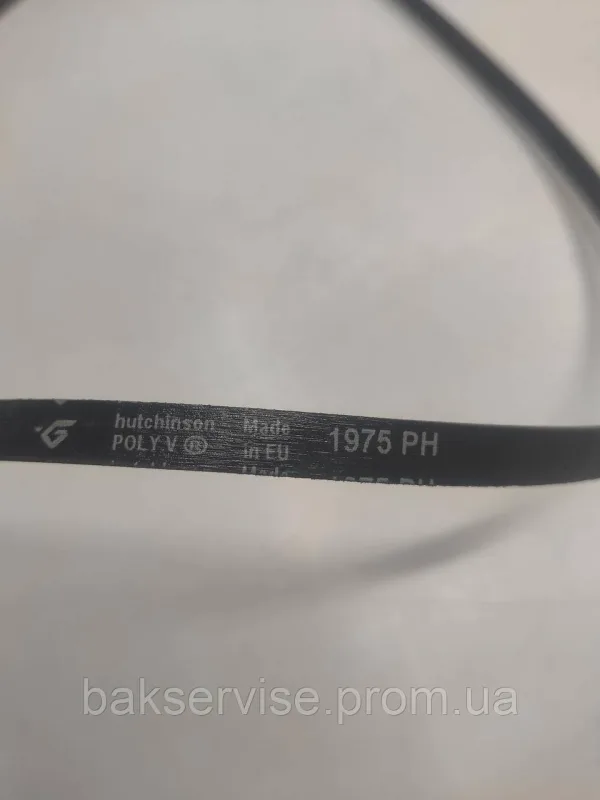 Ремінь Hutchinson 1975 PH 1258288107 для сушильної машини Zanussi, Electrolux, AEG (481281728433) 5 РУЧЕЙКОВ, изображение 5