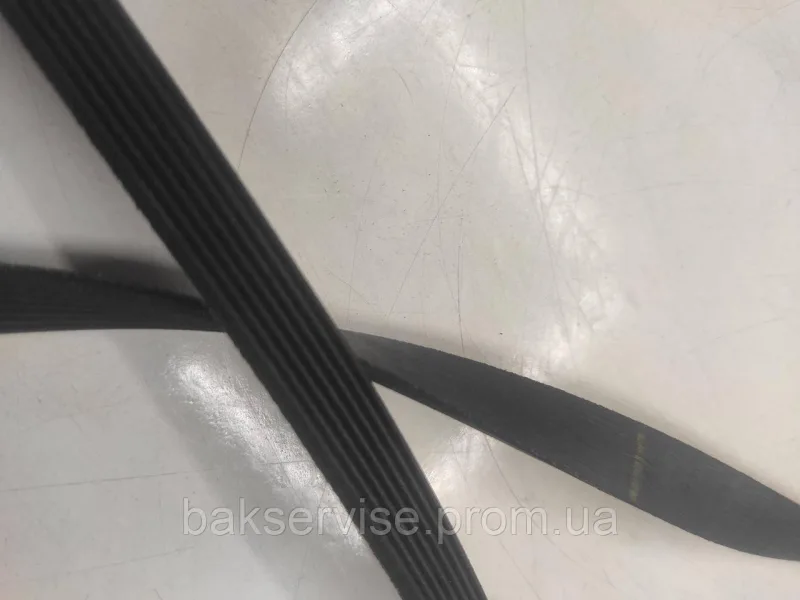 Ремінь для пральної машини Hutchinson 1243 PHE Original, зображення 4