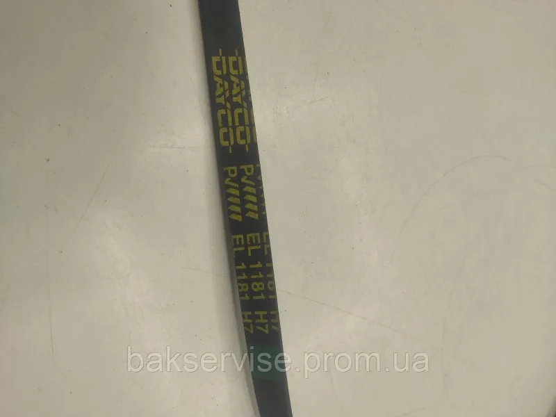 Ремінь для пральної машини DAYCO EL 1181 H7  Original, зображення 2