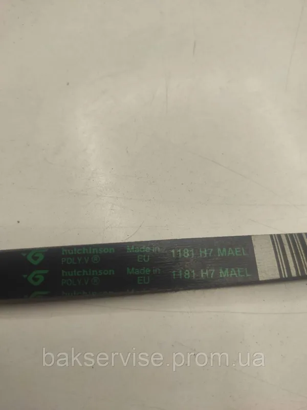 Ремінь для пральної машини Hutchinson 1181 H7 MAEL Original, зображення 2