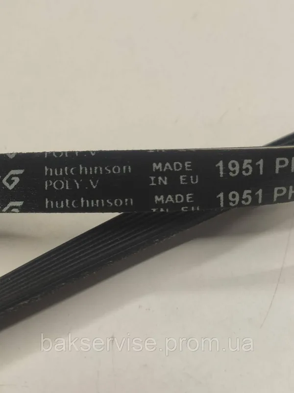Ремінь для пральної машини Hutchinson 7PHE 1951, изображение 3